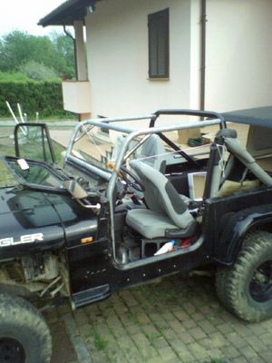 roll cage 2
